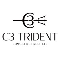 C3 Trident Consulting Group logo - Similar company to Jam Consulting Business Solutions