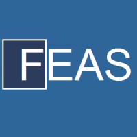 Finite Element Analysis Services (FEAS) logo - Similar company to Finite Element Analysis, Fea Simulation