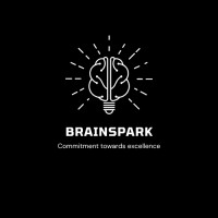 Brainspark logo - Similar company to Brainspark Technologies Private Limited