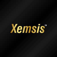 Xemsis_Skincare logo - Similar company to Digicarnation