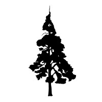 Tricademy - School of Movement GmbH logo - Similar company to Obseed.Me