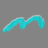 Meenakshi India Limited logo - Similar company to Inter Mode International