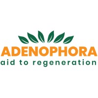 Adenophora Ltd. logo - Similar company to A&C Network Srl