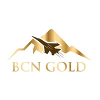 BCN Gold Corp. logo - Similar company to Ipri.Tech