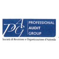 Professional Audit Group S.r.l. logo - Similar company to Lcr & Partners Auditing Srl