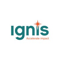 Ignis Advisory logo - Similar company to Ignis Advisory