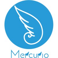 Mercurio srl logo - Similar company to Ninafin