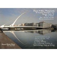 David O'Shea Photography