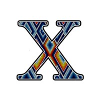 Xmex Investments logo - Similar company to Xnex