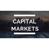 Capital Markets | Uzbekistan logo - Similar company to Uzbek Commodity Exchange