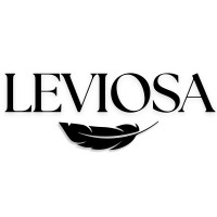 Leviosa logo - Similar company to Leviosa Design