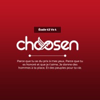 Choosen logo - Similar company to Eliort