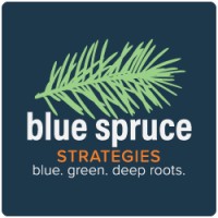 Blue Spruce Strategies, LLC logo - Similar company to The Center For U.S. Voters Abroad