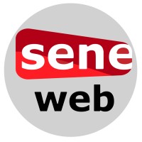 Seneweb.com logo - Similar company to 2Stv
