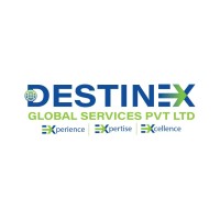 DGSPL India logo - Similar company to Destinex Global Solution