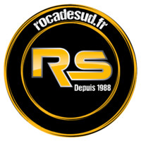 ROCADE SUD AUTOMOBILE logo - Similar company to Acegir
