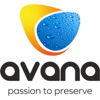 Avana Endeavours logo - Similar company to Vj Network