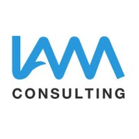 IAM Consulting AB logo - Similar company to Paoletti S.R.L
