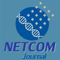 Netcom Journal logo - Similar company to Lilee