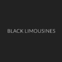 Black Limousines logo - Similar company to Blacklimousines Gmbh