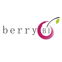 BerryBI logo - Similar company to Piksel Oü