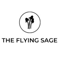 The Flying Sage logo - Similar company to Hollyhock