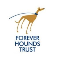 Greyhound Rescue West Of England
