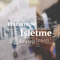 Hacettepe University Department of Business Administration logo - Similar company to Hacettepe Üniversitesi Ideal