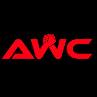 Carnegie Mellon Arm Wrestling Club logo - Similar company to Hammerhead Wrestling Systems, Llc