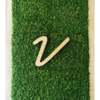 Vinaigrette Salad Kitchen logo - Similar company to Interfold