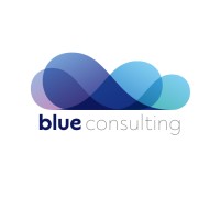Blue Consulting Kenya logo - Similar company to Singlify