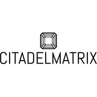 Citadelmatrix logo - Similar company to Bharatfx