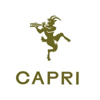 Capri Zurich logo - Similar company to Studio Leaf Ag