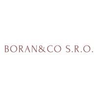 Boran&Co s.r.o. logo - Similar company to Emineo Partners
