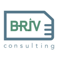 Briv Consulting logo - Similar company to Trustcode Solutions