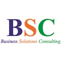 Business Solutions Consulting logo - Similar company to Flexngia