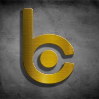 BINAIR consulting logo - Similar company to Hr Pulse – نبض الموارد البشرية