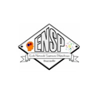 Réseau ENSP (Association des Anciens Elèves de l'ENSP) logo - Similar company to Ensp Practice