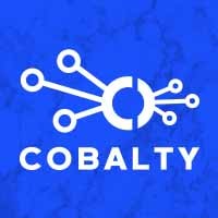 Cobalty logo - Similar company to Vazoola
