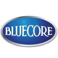 Blucore Official logo - Similar company to Pudjakala Curation