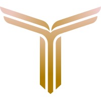 Trinhique Consultancy logo - Similar company to Elevated Consultancy & Training
