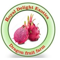 Royal Delight Exotics Dragon fruit farm logo - Similar company to Oraveg