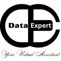 Data Expert logo - Similar company to Data Expert