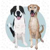 Tails Of Success