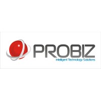 Probiz Technologies logo - Similar company to Decipher Projects