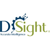 D-Sight Consultores logo - Similar company to Come-Star Communication