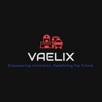 Vaelix Institute logo - Similar company to Web3 Bilingual Zone