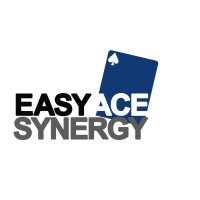 Easyace Synergy Limited logo - Similar company to Workwithschools