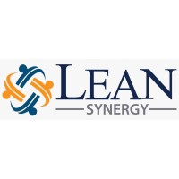 Lean Synergy logo - Similar company to Pboplus Consulting Services Pvt. Ltd.