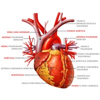 Online medical school logo - Similar company to Commonwealth University College Of Medicine